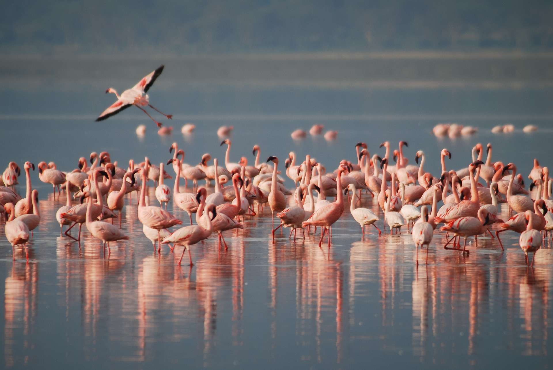 Tanzania Day Trips