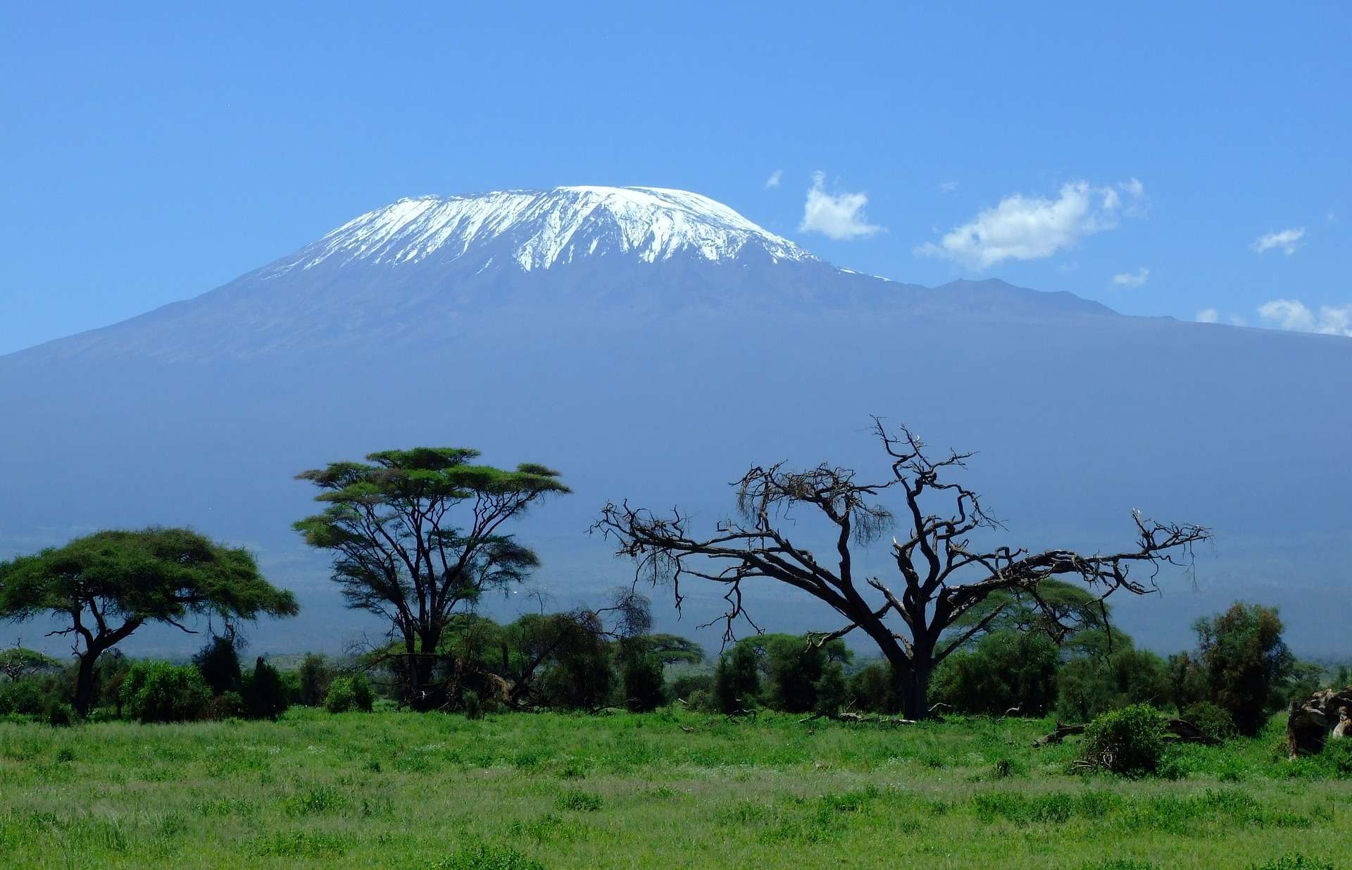 Kilimanjaro climbing and trekking tours
