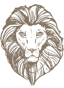 Illustration-of-a-lion-1