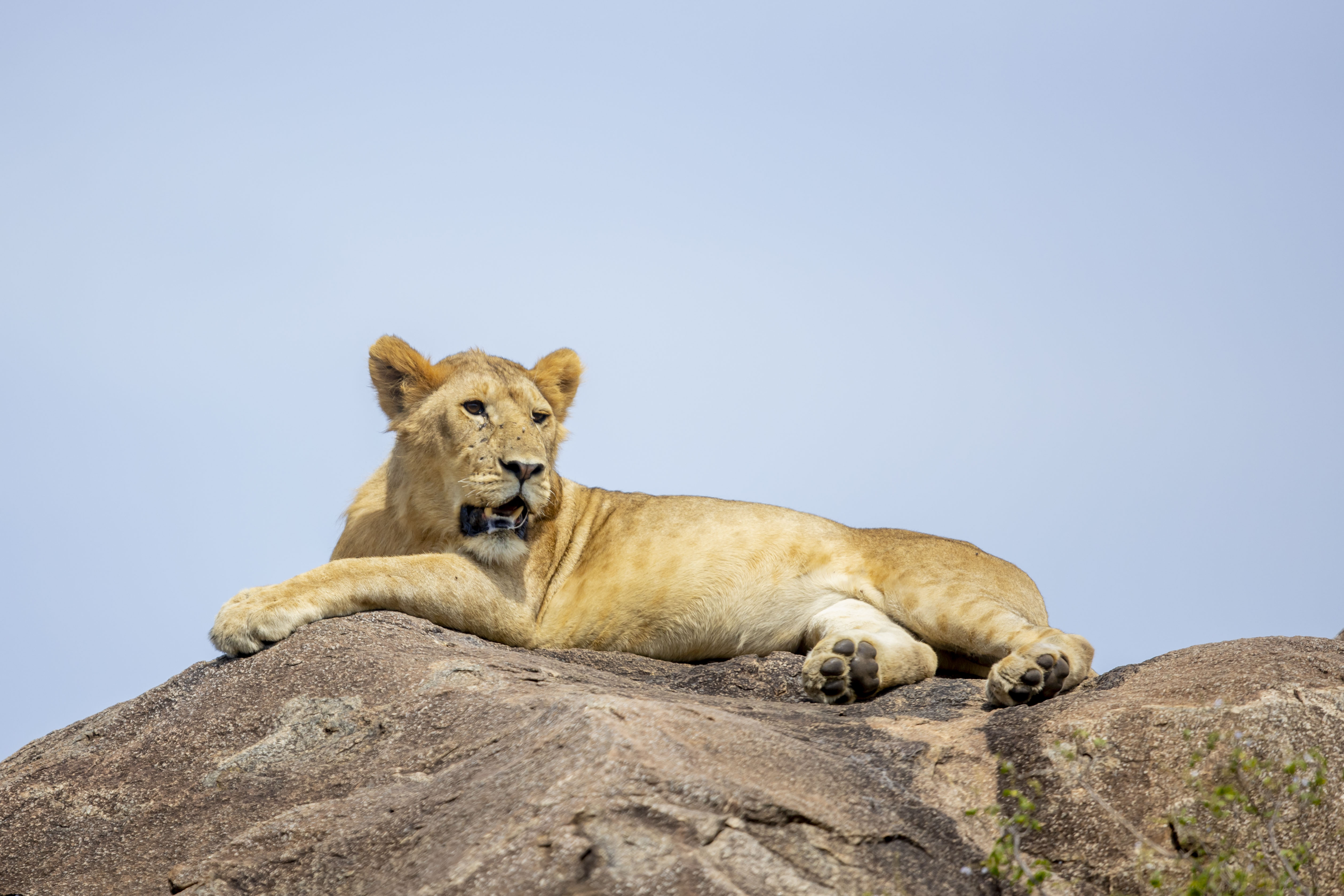 Serengeti National Park